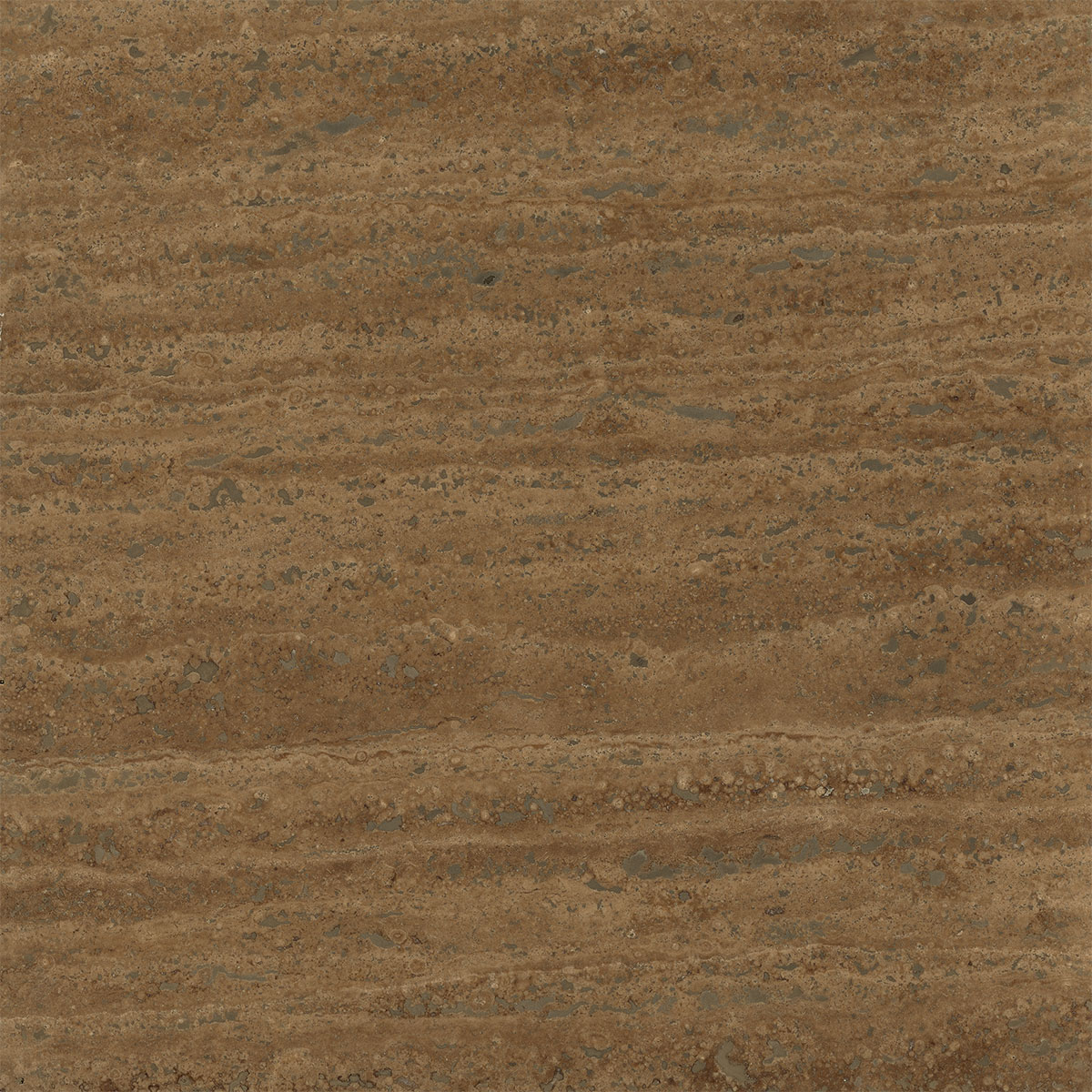 Noche Travertine Vein Cut